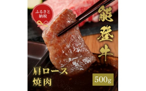 肉【和牛セレブ】能登牛　牛肩（ウデ） 焼肉 500g 黒毛和牛 霜降り ギフト 石川県 能美市