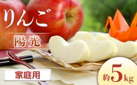 【2026年発送先行予約】りんご 陽光 約5㎏（10～18玉入り）※ご家庭用※ ※2026年10月発送予定※