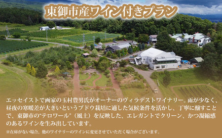 アートヴィレッジ明神館 和室ペア宿泊券 -右岸ワインプラン（ヴィラデストワイナリー ）-　