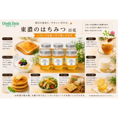 ふるさと納税 土岐市 東濃のはちみつ　百花　220g　6本セット |  | 01