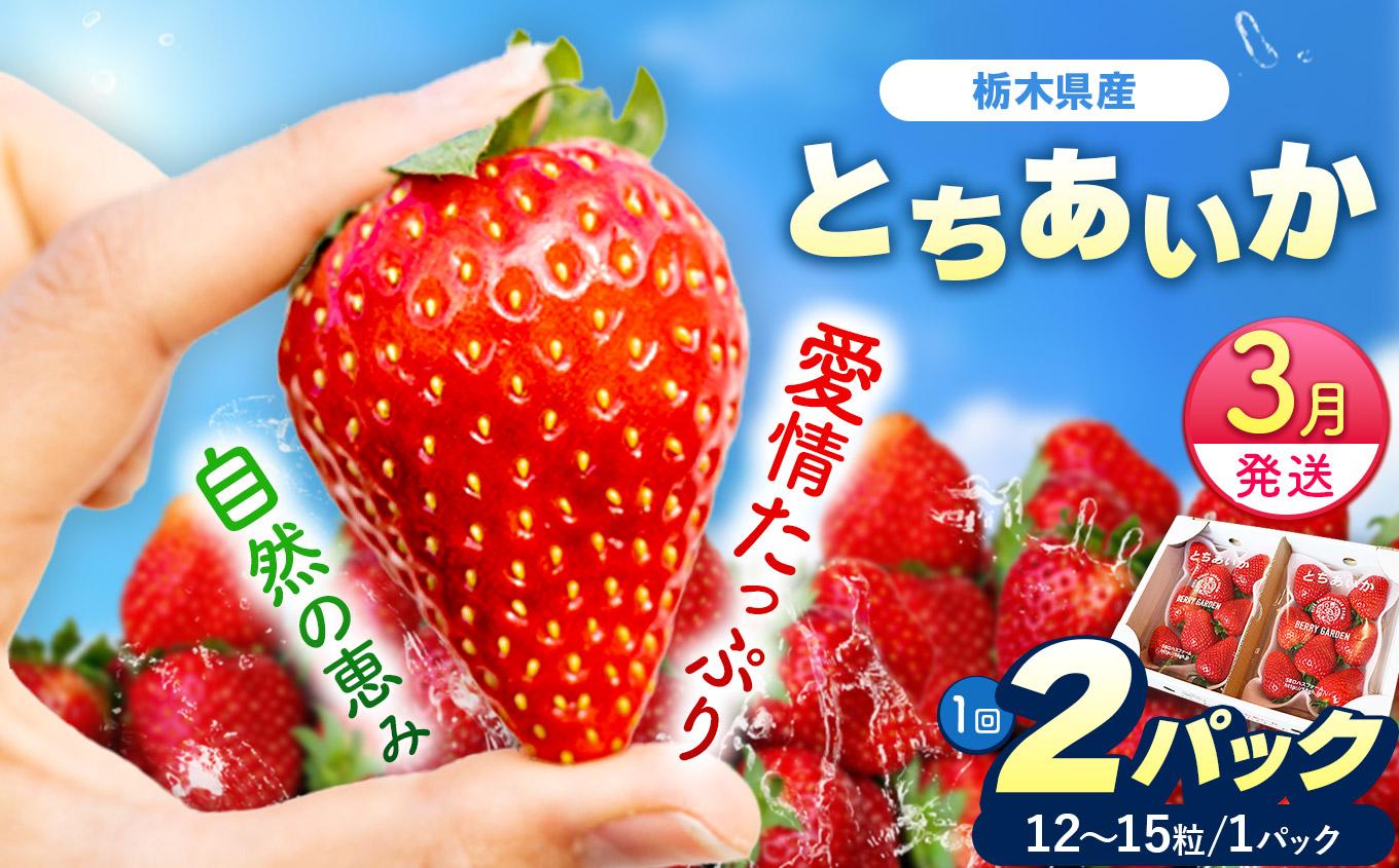 [3月以降発送]いちごの新定番 ★とちあいか★ 12～15粒×2P 2027年 1月～4月上旬発送！【2027年先行予約】栃木県 矢板市産