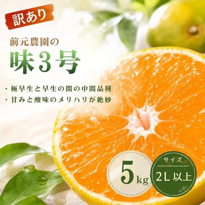 みかん 訳あり 前元農園の味3号 5kg  2L以上(大サイズ)【mmg044】