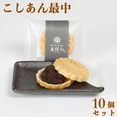 ふるさと納税 杵築市 和菓子 木付やのこしあん最中(もなか)10個セット