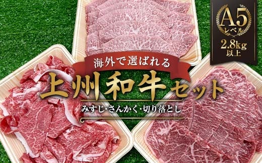 海外で選ばれる上州和牛セット プロが肉市場で厳選！ A5レベルの上州和牛セット（部位:みすじ・さんかく・切り落とし） 2.8kg以上 牛 牛肉 ビーフ 肉 食品 F21K-447