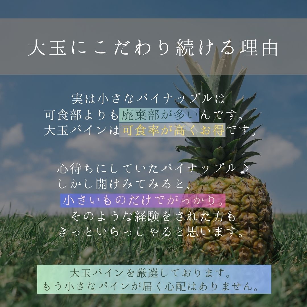 【先行予約】《2025年夏季 順次発送》石垣島産・大玉ピーチパイン ３玉 約3.0kg【 沖縄県石垣市 石垣島 フルーツ 果物 パイン 産地直送 】SI-37
