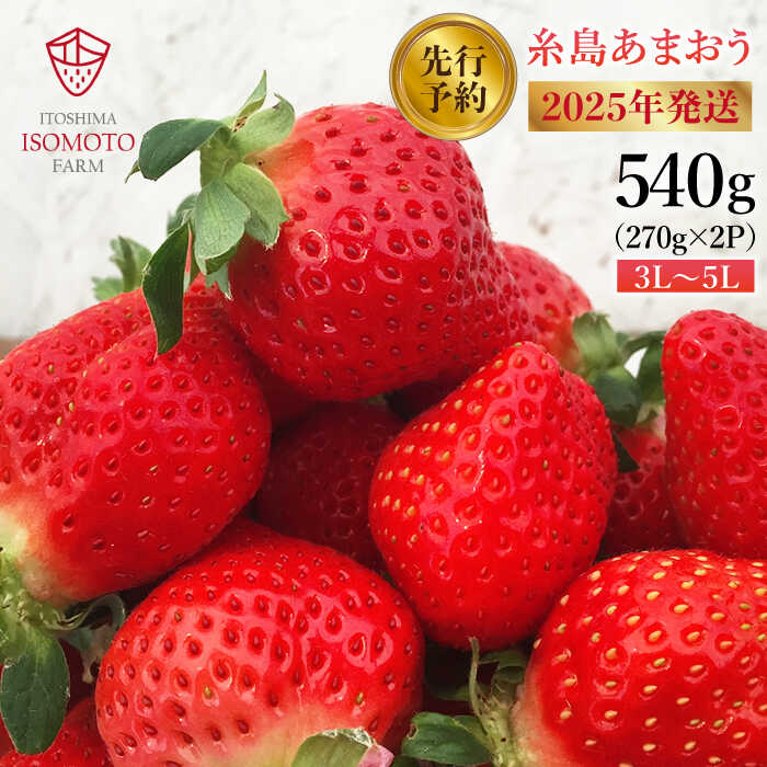 【ふるさと納税】糸島の美味いあまおう 270g × 2パック (A品B品含む3L〜5L)糸島市 / 磯本農園 / TANNAL [ATB003] いちご 苺 イチゴ 11000円 1万1千円