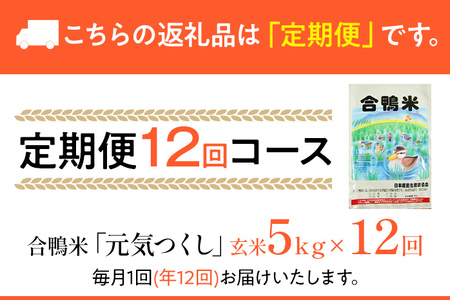 合鴨米「元気つくし」（玄米・5ｋｇ）定期便12回コース　BI11　※2023年10月中旬より順次出荷予定