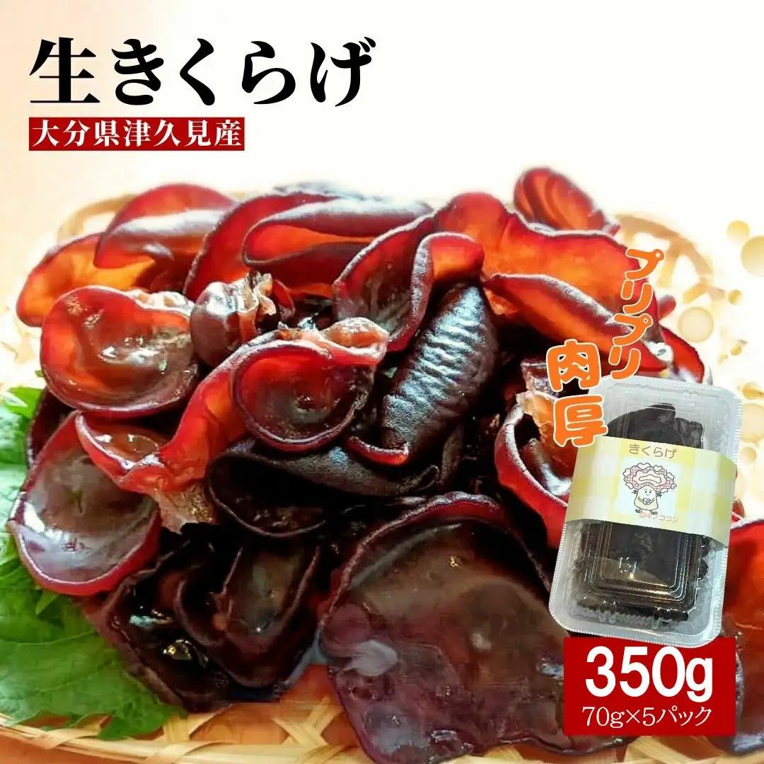 木耳 肉厚生きくらげ　70g×5パック（350g）| 津久見市