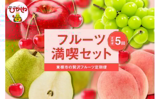 【2026年 全5回定期便】東根フルーツ満喫セット （6月からスタート）さくらんぼ、もも、シャインマスカット、ラ・フランス、りんご　hi027-237