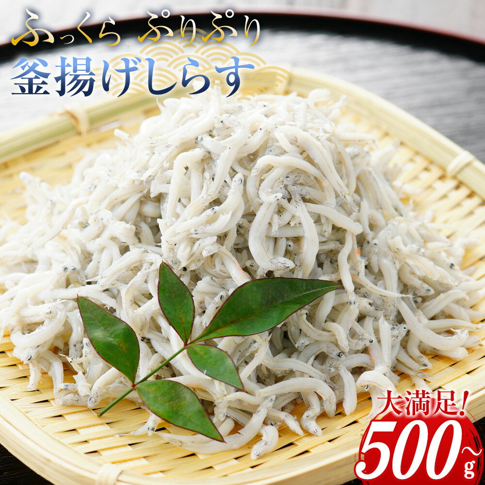 【ふるさと納税】＼注文数急上昇／釜揚げしらす 500g〜2kg 【選べる容量】しらす職人厳選 ふっくら&ぷりぷり 那智勝浦町 海鮮 魚介類 釜揚げしらす おすすめ 魚介 小魚 魚 鮮魚 シラス しらす しらすごはん | 那智勝浦町 釜揚げしらす 海鮮 魚介 人気 おすすめ 惣菜