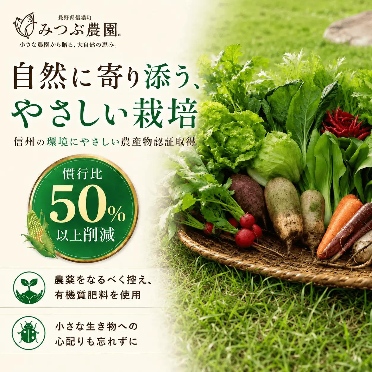 朝採れ極甘とうもろこし5本セット みつぶ農園【長野県信濃町・数量限定】