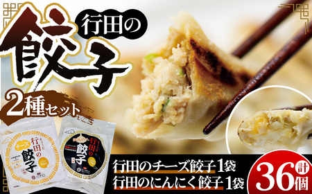 餃子セット（行田のチーズ餃子・行田のにんにく餃子）各1袋 No.416