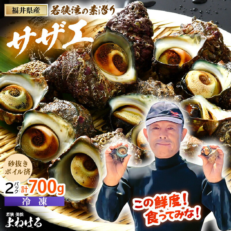 【ふるさと納税】大人気☆ 若狭湾の素潜り 天然サザエ 約8〜12個 約700g (350g × 2P) 活サザエをそのままボイルしました！【海鮮 バーベキュー BBQ サザエ さざえ 貝 海産物 刺身 お造り 海の幸 つぼ焼き 壺焼き 佃煮 砂抜き済 冷凍】お買い物マラソン 買い回り [m17-a050]