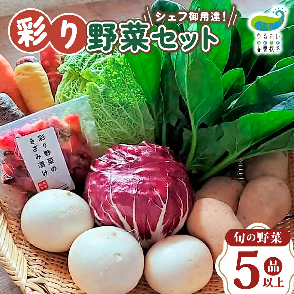 【ふるさと納税】農園自慢 彩り 野菜セット（ 5品 以上〜）旬 野菜 詰め合わせ シェフ御用達 国産 岩手 うるおい春夏秋冬 国産 やさい セット 岩手県 北上市 A0235 季節の野菜 西洋野菜 紫人参 黄色人参 丸なす 水なす 長なす とうがらし カラフル 野菜 お試し 送料無料