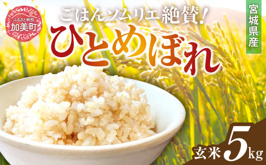 新米 玄米 令和6年産 宮城県加美町産ひとめぼれ 5kg [菅原商店 宮城県 加美町 ]  | sg00002-r6-5kg