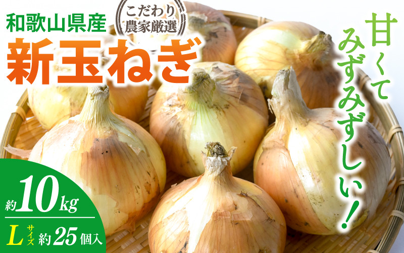 
                  和歌山県産新玉ねぎ約10kg　Lサイズ 約25個入り　こだわり農家厳選！【2026年4月末頃～6月中旬に発送予定】人気 おすすめ たまねぎ 玉ねぎ 玉葱 タマネギ オニオン スープ サラダ 国産 野菜 新鮮 ビッグサイズ 大きい BBQ【BK-kgr033】
                