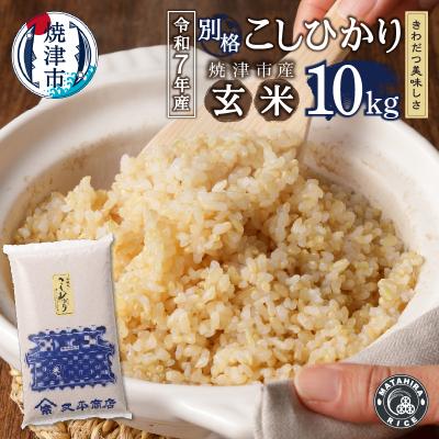ふるさと納税 焼津市 令和7年産 玄米 10kg コシヒカリ(a26-034)