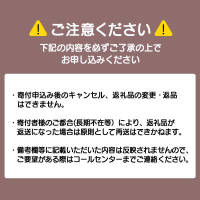 ふるさと納税 浜頓別町 全粉乳 700g 10袋 よつ葉 業務用 ミルク パウダー |  | 03