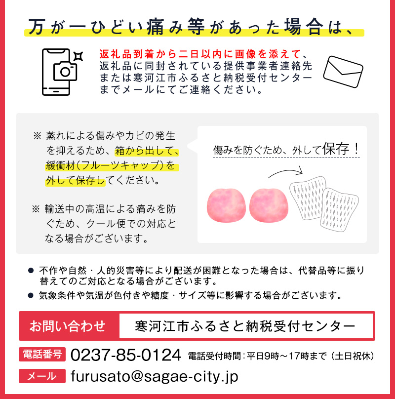 《先行予約》山形の白桃 秀品 1.4kg（4 - 6玉） 品種おまかせ 秀品 山形県産 【8月上旬頃～9月下旬頃発送予定】  010-B-MM069 1.4kg（4 - 6玉）