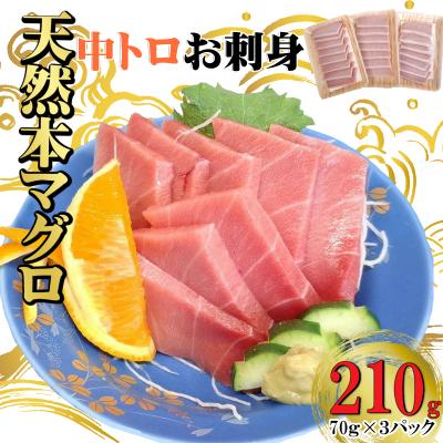 ふるさと納税 室戸市 天然本マグロ 刺身パック 【 中トロ 】 210g(70g×3パック)