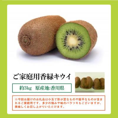 ふるさと納税 高松市 【先行受付2025年】ご家庭用香緑キウイ(小玉)　約3kg |  | 03