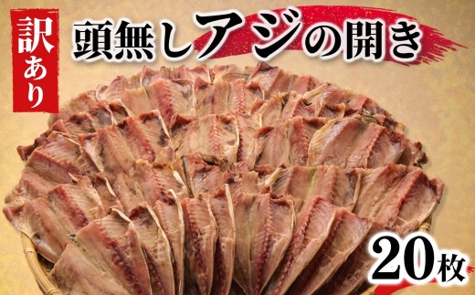 【2026年9月発送】 訳あり あじ 干物 20枚 鯵 アジ ひもの 冷凍 炭室熟成 あじの開き 頭なし 沼津市 静岡県