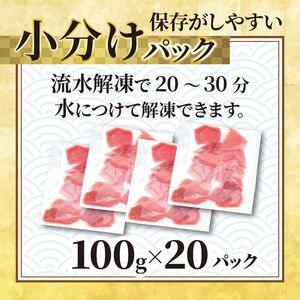 天然めばちマグロ 切り落とし マグロ 2kg FN-Limited-PR