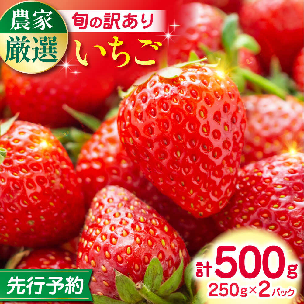 【ふるさと納税】【先行予約】【2025年12月より順次発送】【訳あり】いちご 食べ比べ セット 4品種 計500g ( 250g × 2P ) 農園直送 産地直送 熊本県産 山都町産 イチゴ 苺 ストロベリー フルーツ 果物 苺 500グラム 小分け【なかはた農園】[YBI059]