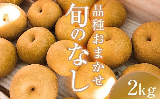 阿部農縁　福島県の和梨　品種おまかせ　旬のなし2kg(5～8玉)　ギフト・贈答用 F7X-0062