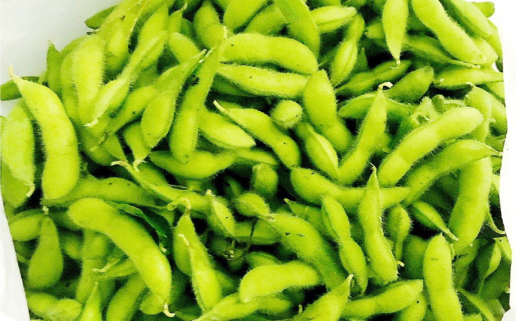 幻の大豆身延町特産あけぼの大豆約300g×2袋×2箱