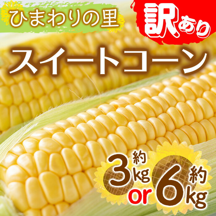 【ふるさと納税】＜先行予約！2026年6月上旬以降順次発送予定＞＜訳あり・家庭用＞イエローコーン(約3kg・約6kg)トウモロコシ とうもろこし 産地直送 国産 野菜 コーン 産地直送 新鮮 香川県 冷蔵便 【man114・man115】【Aglio nero】