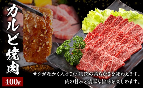 宮崎牛カルビ焼肉・切り落としセット
