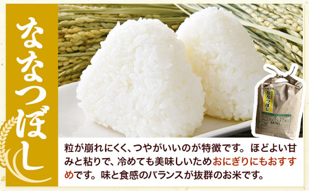 [1.4-361]【令和7年産】【先行予約】野口農園 ななつぼし 5kg お米 北海道産 産地直送 ブランド米 ななつぼし 野口農園《 10月末～（新米収穫出来次第、出荷》　　国産 精米 白米 米 