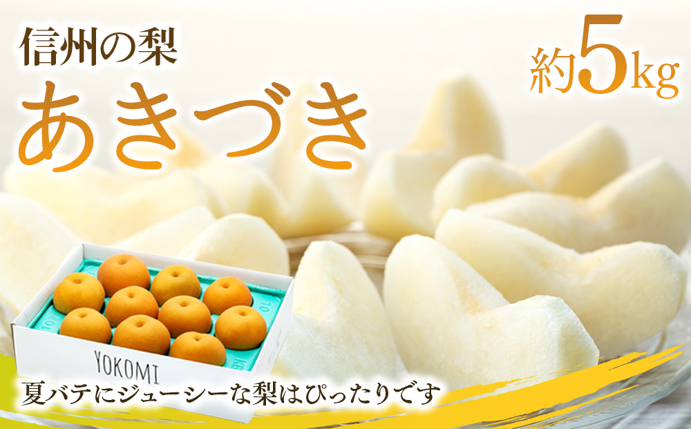 【2026年/令和8年発送分 】梨 長野 あきづき 約5kg 信州の梨 