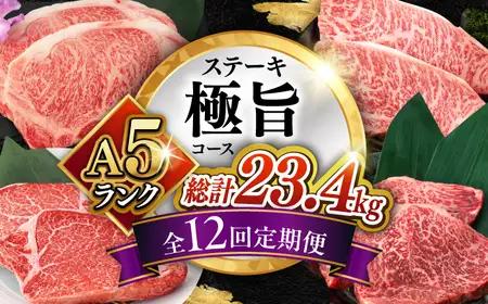 【12回定期便】長崎和牛 A5 ステーキ極旨コース 総計23.4kg / モモ リブロース イチボ サーロイン ランプ ヒレ レモンステーキ / 肉 牛肉 ステーキ 焼肉 / 諫早市 / 野中精肉店 [AHCW087]