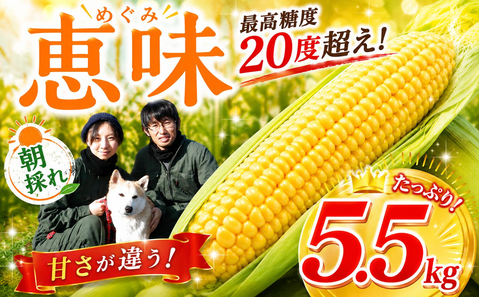 
                  とうもろこし 約5.5kg コーン 生とうもろこし 【先行予約】 野菜 夏野菜 とうもろこし トウモロコシ 生 新鮮 産地直送 冷蔵 6月中旬発送開始 最高糖度 20度 千葉県 香取市 SBF002
                