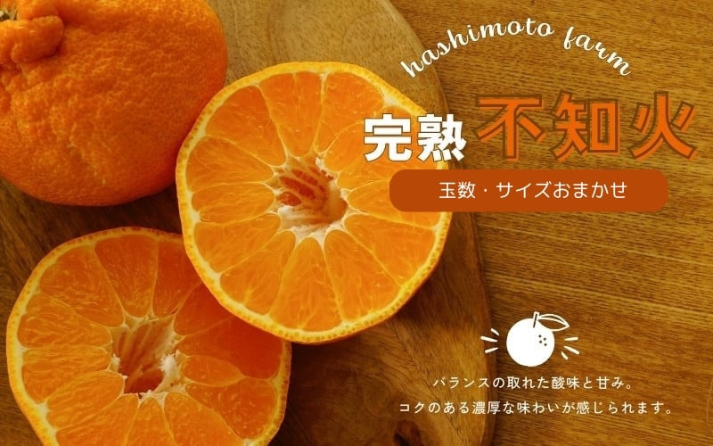 
            【先行予約】橋本農園の完熟不知火 10kg 玉数・サイズおまかせ【2026年2月中旬～3月中旬までに順次発送】 / デコポン 不知火 完熟 フルーツ 果物 くだもの 先行予約
          