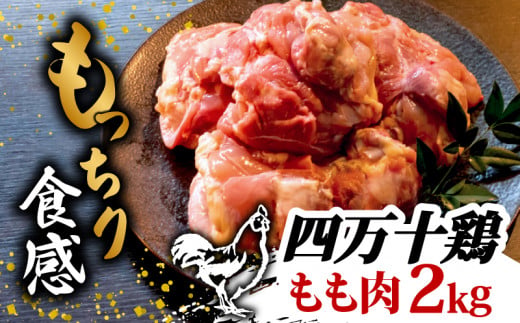 銘柄鶏 四万十鶏 もも肉 2kg | 切身 カットでかんたん時短セット カット済み 鳥肉 とりにく 鶏もも 冷蔵 国産 ブランド 唐揚げ 煮物 鍋 チキン 南蛮 高知県 須崎市 TM018_x