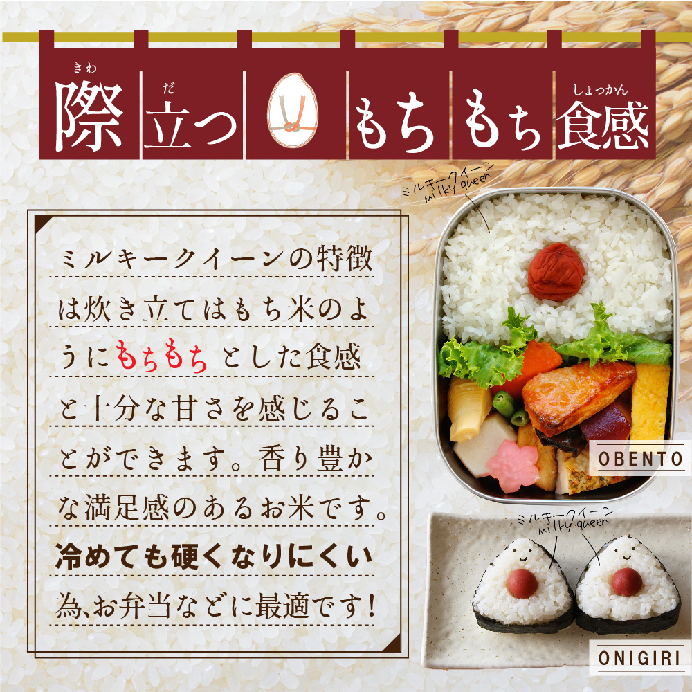 【 最短 翌日発送 】 茨城県産 ミルキークイーン 10kg ( 5kg ×2) 五つ星 お米マイスター 監修 みるきーくいーん 国産 こめ コメ 米 精米 すぐ発送 人気 美味しい ランキング ふる