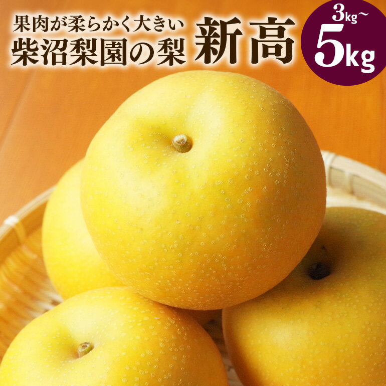 【ふるさと納税】 先行予約 柴沼梨園の梨 ( 新高 ) 梨 選べる 3kg 5kg 大玉 4～14個入り 柴沼梨園 ナシ なし 国産 茨城 新高梨 秋 旬 フルーツ 果物 【9月下旬～10月上旬発送】 秋の味覚 旬の果物 くだもの 大きい サイズ 品種 新高 産地 茨城県 家庭用 産地直送 送料無料