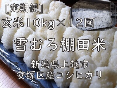 令和7年 新潟県産 棚田米 コシヒカリ 玄米 定期便 120kg 120キロ (10kg×12回) 雪中貯蔵 雪むろ こしひかり お米 こめ 新潟 上越 米 送料無料