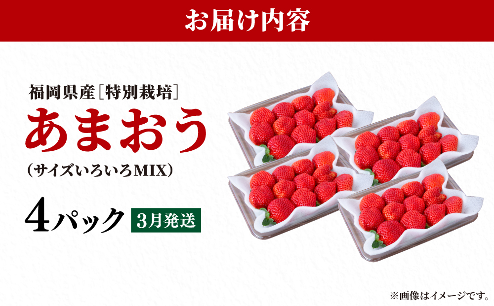 いちご 福岡県産 特別栽培 あまおう サイズいろいろMIX 約1140g（約285g×4パック）【3月発送】| 農園直送 アフター保証 先行予約 福岡産 送料無料 ケーキ ギフト お祝い 限定 季節限