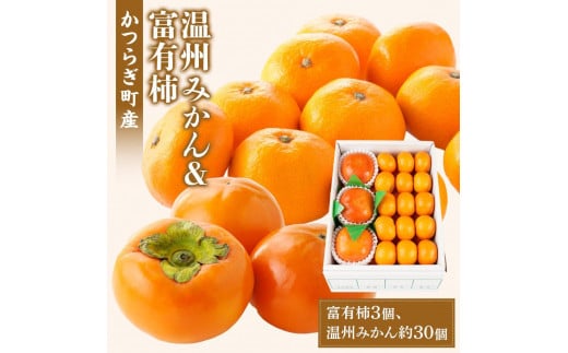 
            道の駅くしがきの里セット 富有柿3個・温州みかん約30個の詰め合わせ こだわり農家厳選［KG29］
          