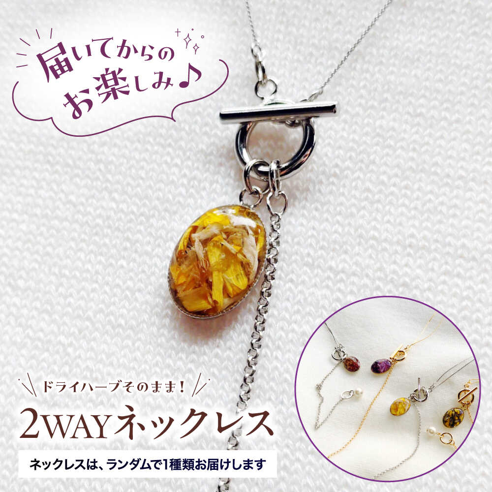 【ふるさと納税】ネックレス ハーブ纏うアクセサリー 2WAYネックレス 【ハーブおまかせ】 ネックレス アクセサリー チェーン ボタニカルアクセサリー レディース ハンドメイド アクセ ナチュラル ハーブ パール ファッション 2WAY Y字 三次市 / SAMPO[APCW001]