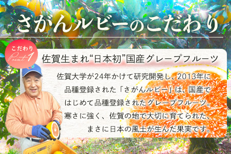 【数量限定・リピーター続出】グレープフルーツ「さがんルビー」 約５ｋｇ 防腐剤不使用 希少 国産グレープフルーツ B-2