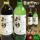 【ふるさと納税】 朝日町ワイン山形 赤・白（辛口） 各720ml セット F2Y-3447