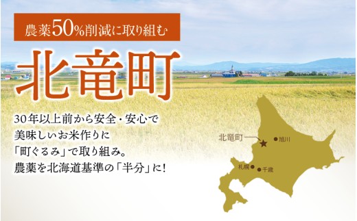 令和7年産 新米 ななつぼし 10kg大容量 【sun400-nana-r10-R7B】