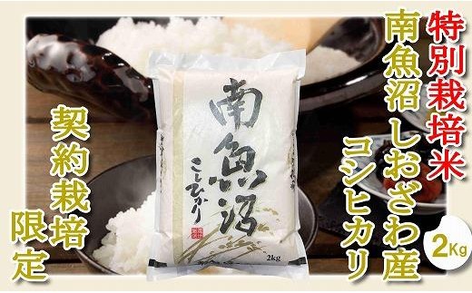 【令和7年産】【精米２Kg】特別栽培 生産者限定  南魚沼しおざわ産コシヒカリ【銘柄米 ブランド米 精米 こしひかり コシヒカリ 魚沼産 新潟米 産地直送 お米 米 こめ コメ ご飯 御飯 ごはん】