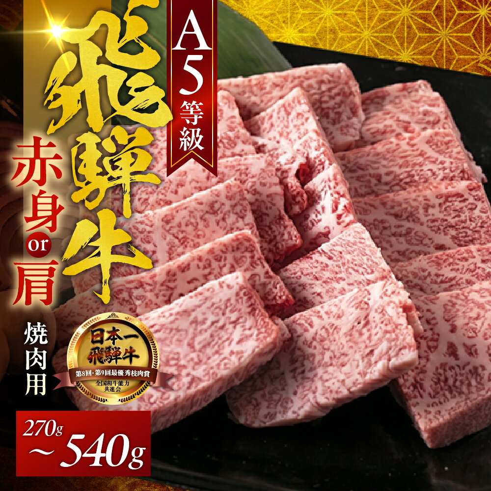 【ふるさと納税】A5飛騨牛 焼肉用 赤身モモ または 肩 270g 540g 飛騨牛 牛肉 肉 黒毛和牛 希少部位 国産 厳選 ブランド牛 A5等級 A5ランク A5 焼き肉 焼肉 BBQ プレゼント ランキング 高レビュー 最高級 高級 プレゼント ギフト 12000円 1万2千円 木立ミート 岐阜県 大垣市