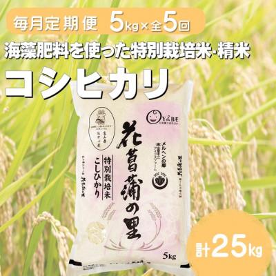 ふるさと納税 小矢部市 【毎月定期便】特別栽培米コシヒカリ(花菖蒲の里)(精米)5kg全5回